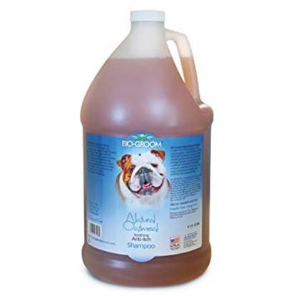 Picture of BIO-GROOM NATURAL OATMEAL SHAMP 3.8L